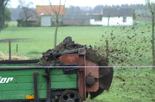 weide doorzaaien weide doorzaaien